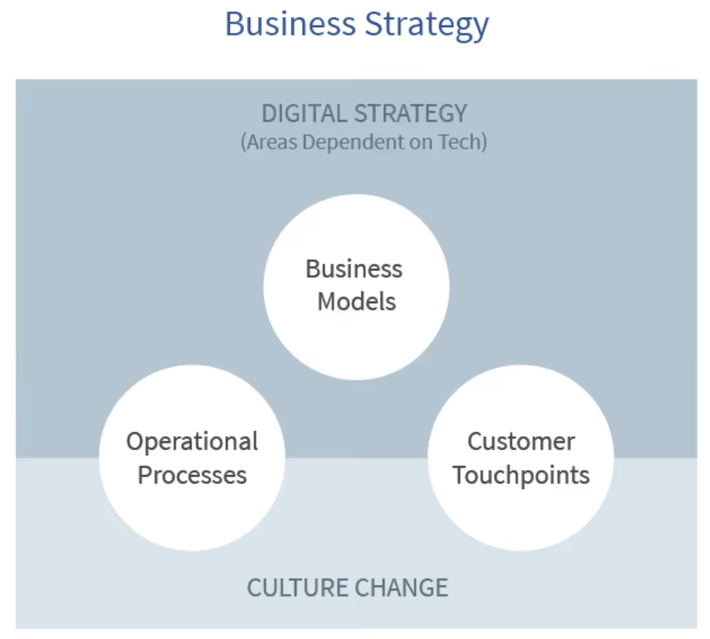 Digital Strategy